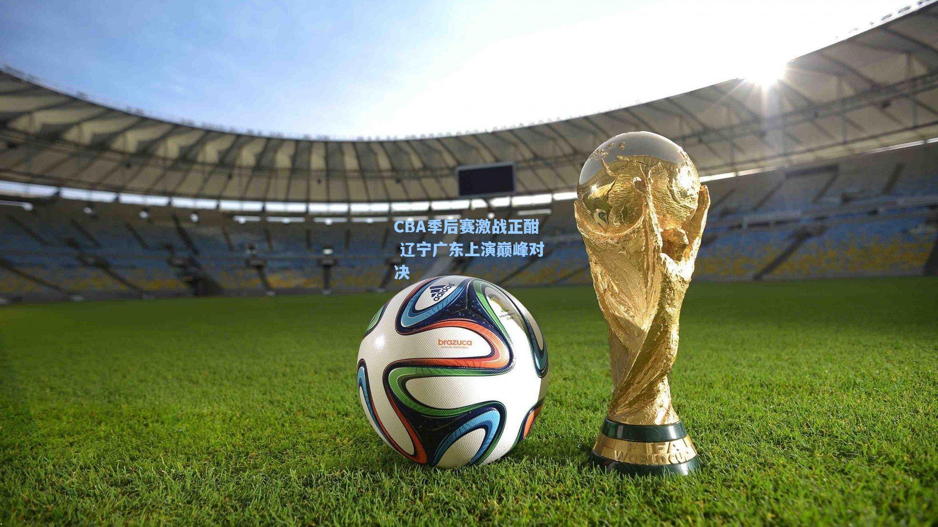 CBA季后赛激战正酣 辽宁广东上演巅峰对决