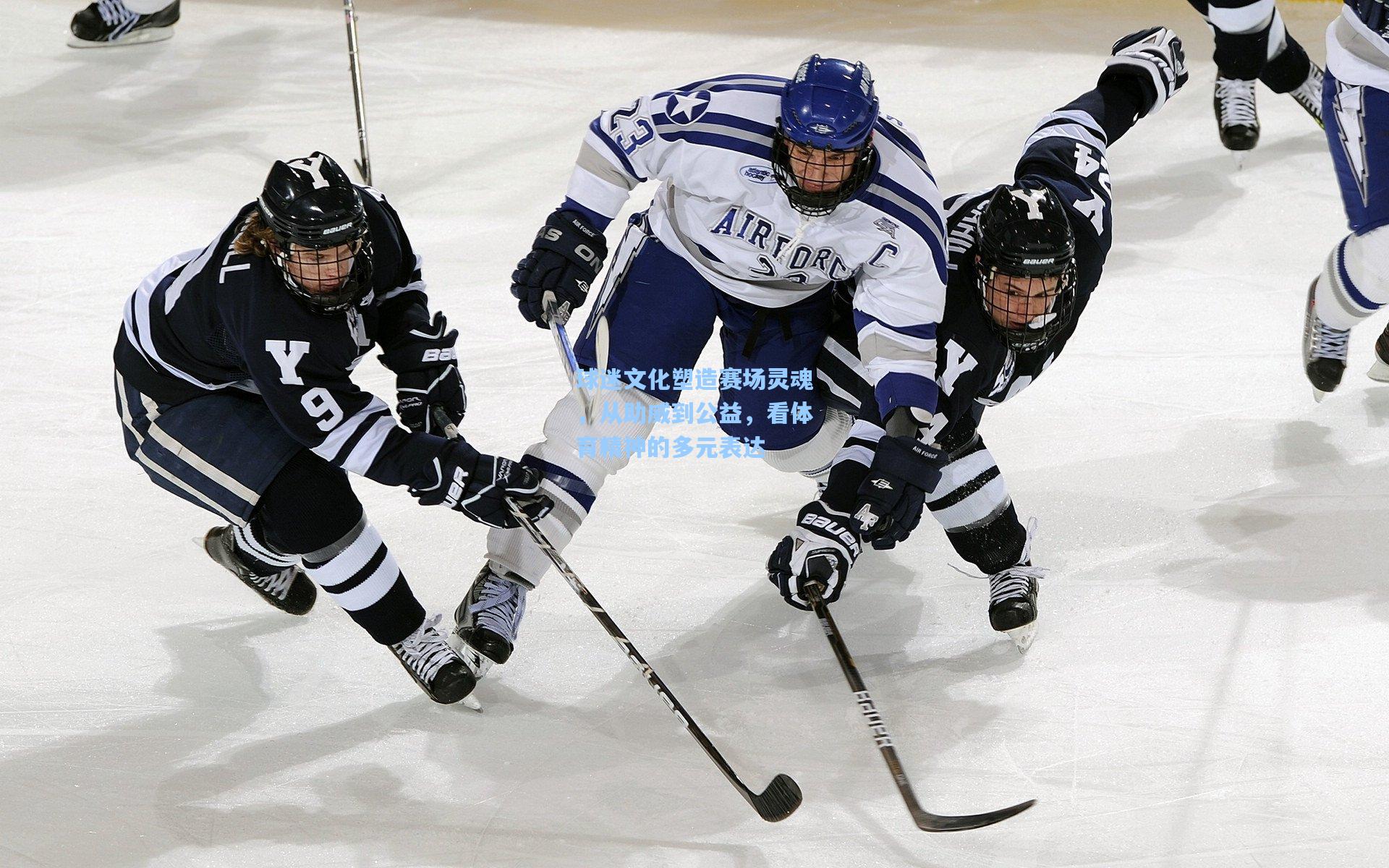 球迷文化塑造赛场灵魂,从助威到公益,看体育精神的多元表达