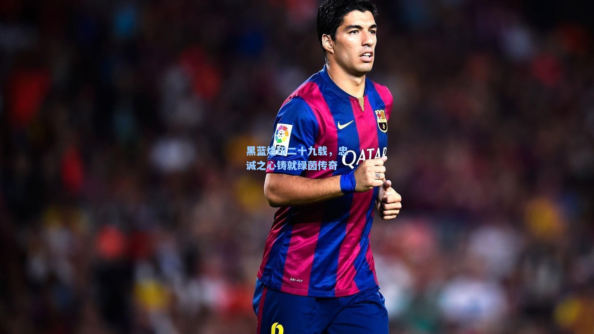 黑蓝烙印二十九载，忠诚之心铸就绿茵传奇